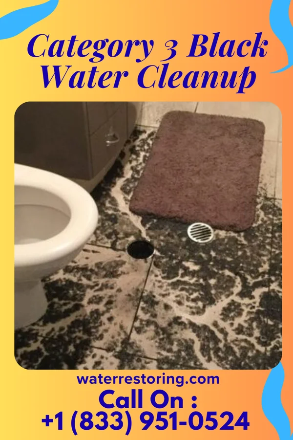 Category 3 Black Water Cleanup in Lake Davis, CA