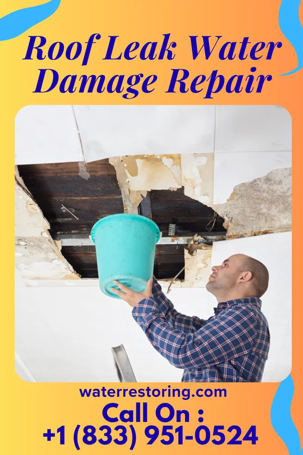Roof Leak Water Damage Repair in Lake Davis, CA
